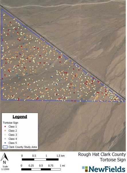 tort map